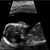 Daniele Jones's profile image