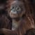 Sam Waters's profile image