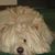 Merrel Pepper's profile image