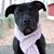 Charlie Kessler's profile image