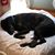 Sally Sperle's profile image