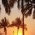 Lorrie McLaughlin Quinn's profile image