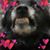 Laurie Spencer's profile image
