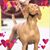 Joan Zweig Toepke's profile image
