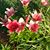 Judy McNelly's profile image