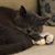 Spencer Stegall's profile image
