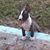Grover Angelle's profile image