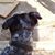 Timber Guier's profile image