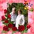 Elaine Vandeventer's profile image