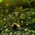 Kathryn Mackin-Knudson's profile image