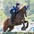 Sara Patricia Calverley's profile image