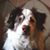 Philip Linke's profile image