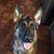 Steve Timbrook's profile image