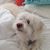 Catherine D'Angelo Labrado's profile image