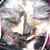 Anita Faucheux's profile image