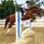 Ashlee Ashlock's profile image