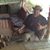 Gregg Edwards's profile image