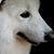 Karolee Coffman's profile image