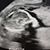 Kaylene Monier's profile image