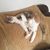 Dolly Trevey-Boitnott's profile image
