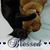 Stephanie Koel's profile image