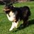 Carol Herold's profile image