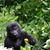 Helen Coe's profile image