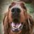 Jim Adlhoch's profile image
