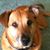 Lorrie Fess-Jackson's profile image
