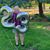 Shelbey Anderson's profile image