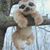Deborah Emans's profile image