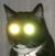 Dave Wojciechowski's profile image