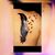 Lisa Polock's profile image