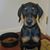 Debbie Purse's profile image