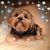 Diana Schneider's profile image