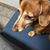 Sue Caldwell's profile image