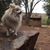 Cindy Hoover's profile image