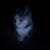 Kay Tyler's profile image