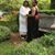 Deandra Butler's profile image