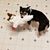 Teresa Lelesch's profile image