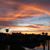 Cheryl Winieckie Brown's profile image