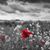 Denna Hester's profile image