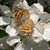 Brenda Segeberg's profile image