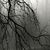 Melinda Turnbaugh's profile image