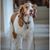 Cindy Iden's profile image
