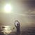 Bay Thongvanh's profile image
