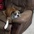 Risha Anderson's profile image