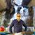 Med Alaoui Abdellaoui's profile image