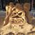 Kay Kambas's profile image