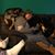 Angela Crenshaw's profile image